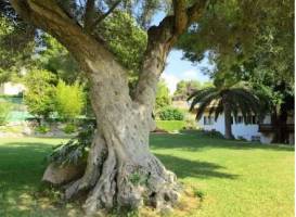 Holiday home Casa Segur de Calafell I 