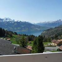 Apartment Zurcher Beatenberg-Waldegg 
