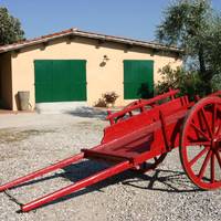 Agriturismo - Collina Toscana Resort 