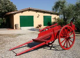 Agriturismo - Collina Toscana Resort 