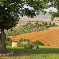 Apartment Valentina Castiglion Orcia 