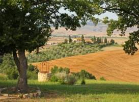 Apartment Valentina Castiglion Orcia 