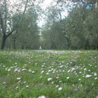 Residence Bartolini Ai Campi Da Golf 