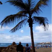 Apartamentos Vista Mar Las Canteras 