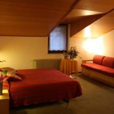 Hotel Alpino Family Wellness Hotel