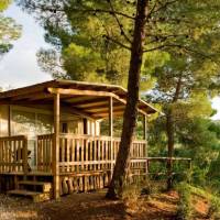 Camping Village Rosselba Le Palme 