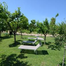 Holiday Home Venturi Lemon Gatteo 