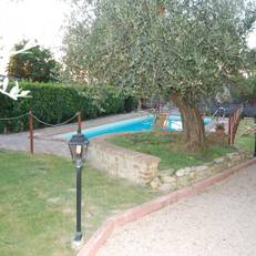 Agriturismo Podere Ranciano Alto 