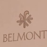 Apartment Residenz Belmont Flims 
