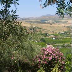 Alora Valley View Accommodations 