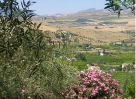 Alora Valley View Accommodations 