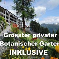 Snow & Mountain Resort Schatzalp 