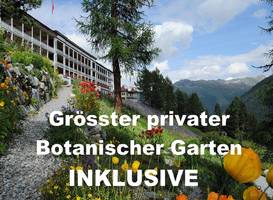 Snow & Mountain Resort Schatzalp 