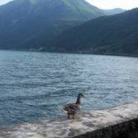Holiday Home Irina Riva Di Solto 