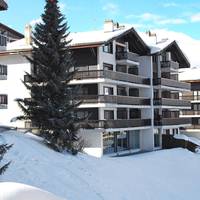 Apartment Arnica Nendaz Station 