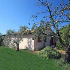 Holiday Home Casa Bilocale Vada 