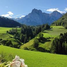 Sonnenresidenz Malfertheinerhof 