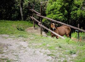 Holiday Home Castellaro Paciano 