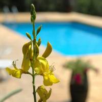 Agriturismo Fattoria Casabianca 