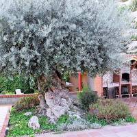 Apartment Las Moriscas Creixell 