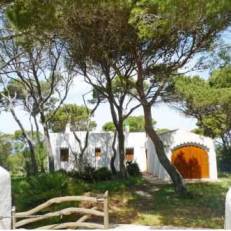 Holiday home Chalet Cala Morell 