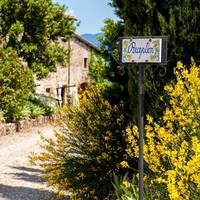 Agriturismo Fattoria Lavacchio 