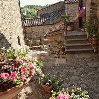 Holiday Home Il Cucco Subbiano 