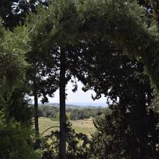 Villa Aurea Bed and Breakfast 