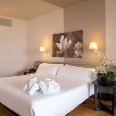 Ciutat Granollers Hotel & Spa 