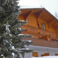 Apartment Le Caracoles Leysin 