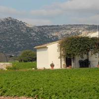 Agriturismo Masseria sul Mare 