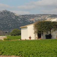 Agriturismo Masseria sul Mare 
