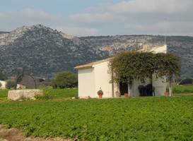 Agriturismo Masseria sul Mare 
