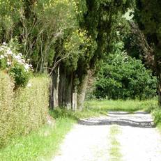 Apartment Cardellino Volterra 