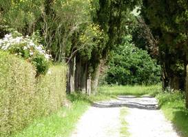 Apartment Cardellino Volterra 