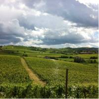 Agriturismo Tenuta La Romana 