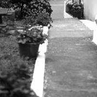 Apartamentos Rurales Caxila 