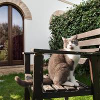 Villa Coralia Country House 
