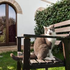 Villa Coralia Country House 