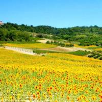 Holiday Home Glicine Camino 