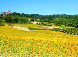 Holiday Home Glicine Camino 