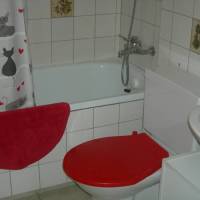 Apartment Seehornstrasse 4a 