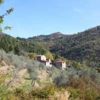 Apartment Quercia Reggello 