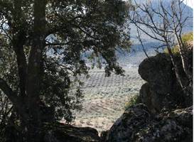 Casa Rural Montecillo Bajo 