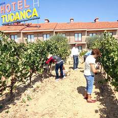 Hotel Area Tudanca Aranda 