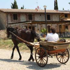 Agriturismo La Colombaia 