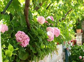 Bed & Breakfast Alaburic 