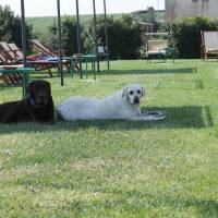 Agriturismo Il Belvedere 