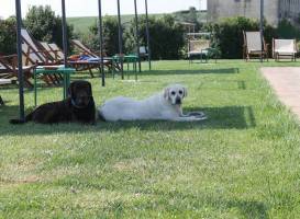 Agriturismo Il Belvedere 