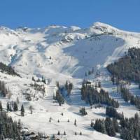 Apartment Fennec Verbier 